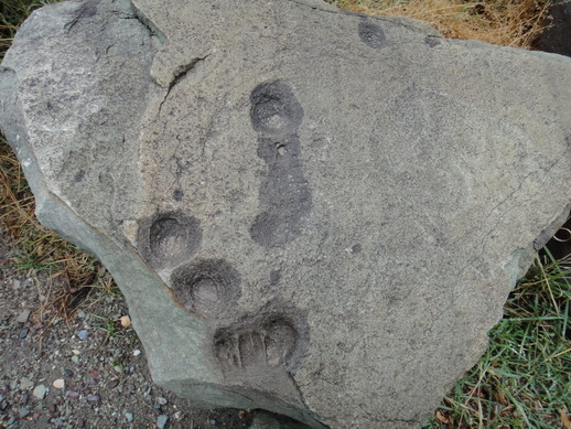 DSC06308_调整大小.JPG