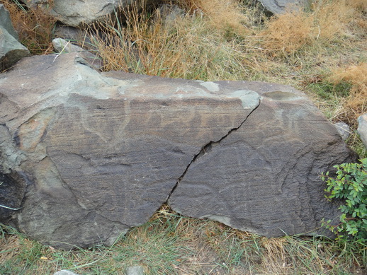 DSC06309_调整大小.JPG