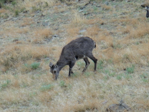 DSC06327_调整大小.JPG