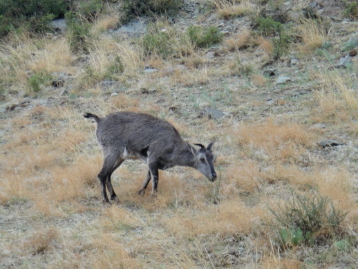 DSC06329_调整大小.JPG