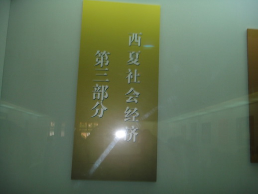 DSC06043_调整大小.JPG