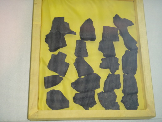 DSC06069_调整大小.JPG