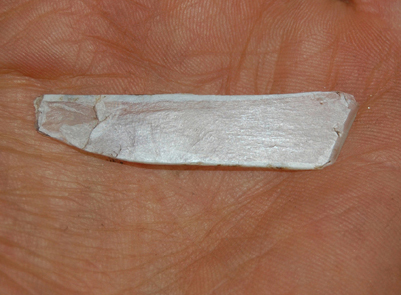 DSC_0004.JPG