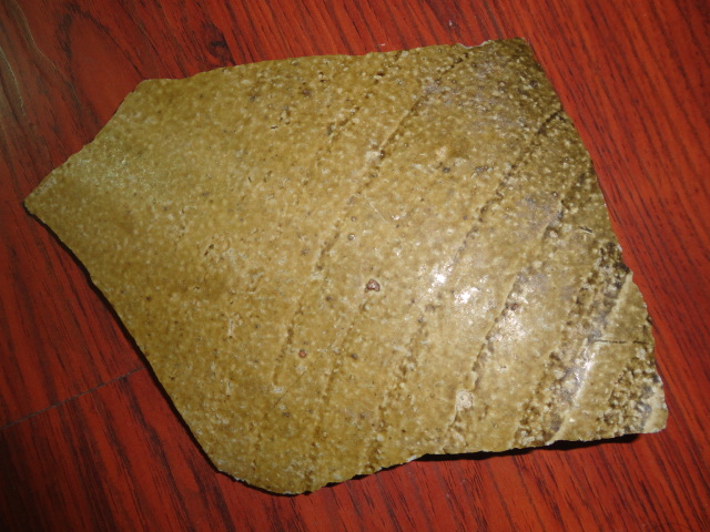DSC08336.JPG
