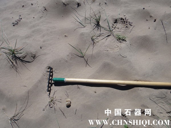 DSC07442_调整大小_调整大小.JPG