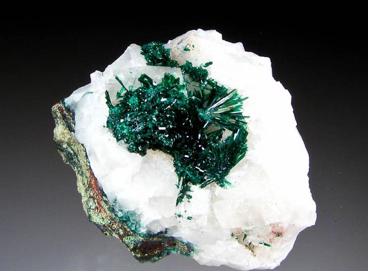 brochanite34829a[1] (3).JPG
