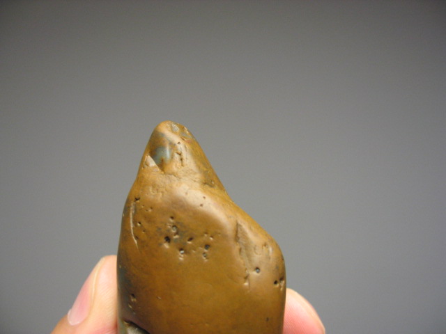 sq 005.jpg
