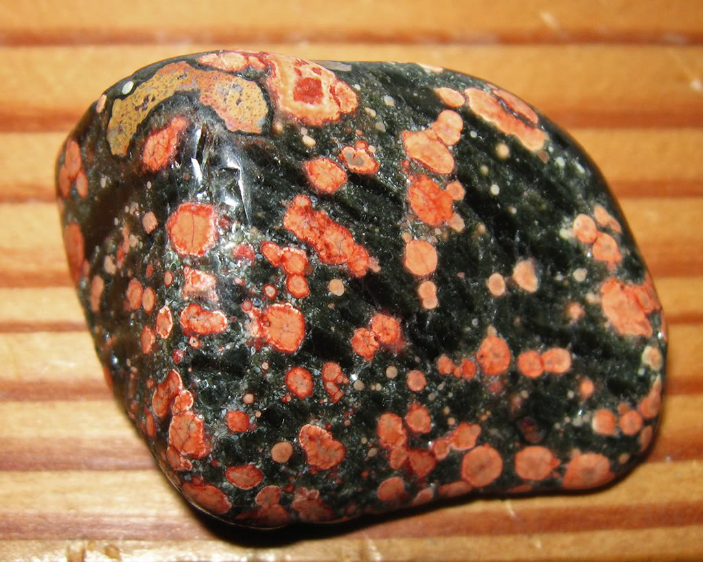peanut obsidian  or   Ladybug jasper httpandy321.proboards.comthread43606.jpg
