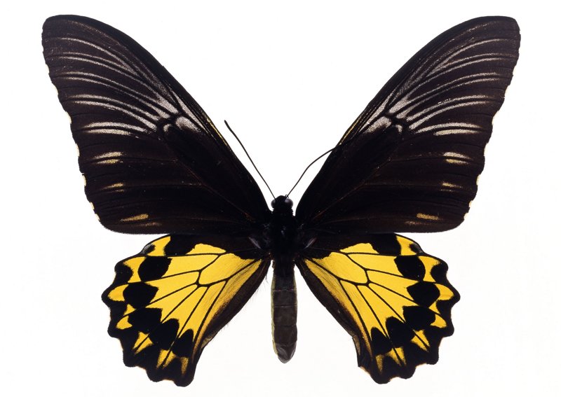 201104210210235614.jpg