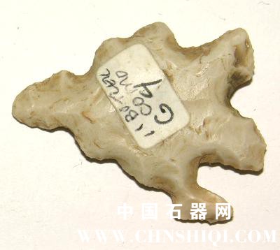 16857B[1].jpg