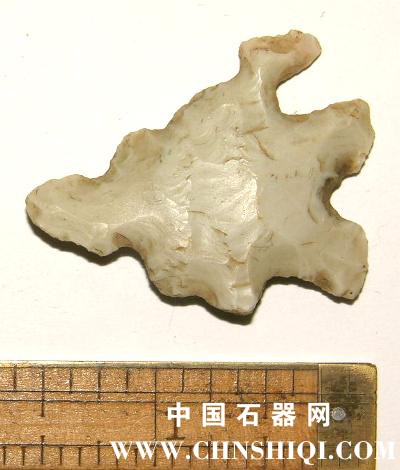 16857A[1].jpg