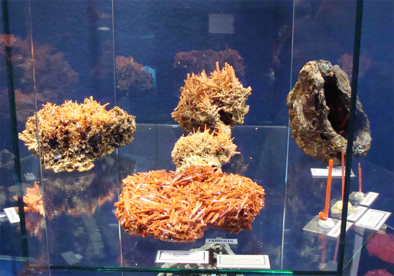 TAMCExhibitionDisplaysB[1].jpg
