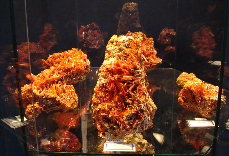 TAMCExhibitionDisplaysE[1].jpg