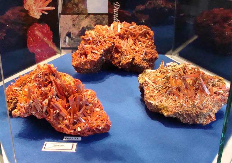 TAMCExhibitionDisplaysG[1].jpg