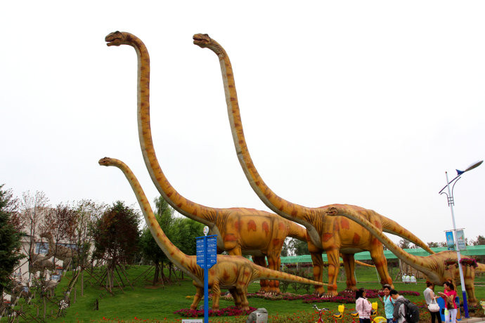 5259bc56te0c25b7facd2&amp;690_副本.jpg