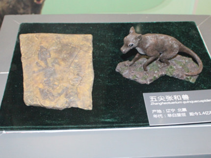 IMG_0214_副本.jpg