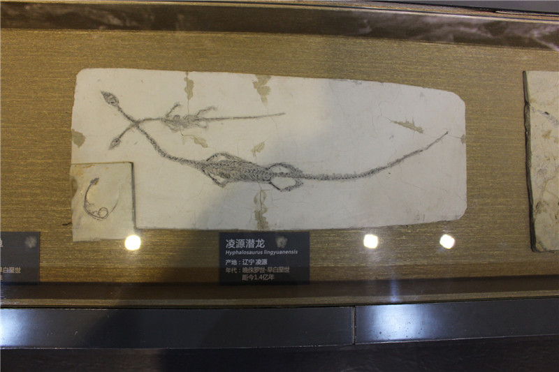 凌源潜龙.jpg
