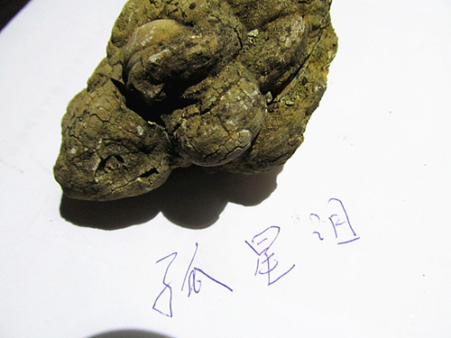 IMG_8198_副本.jpg