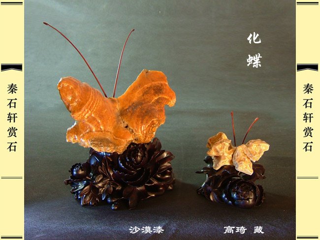 psb (3).jpg