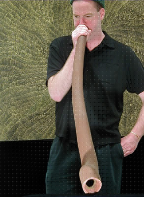 didj11.jpg