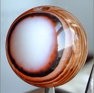 psb (15).jpg