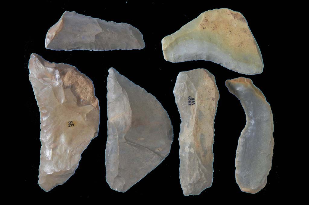AFPH419Z.JPG