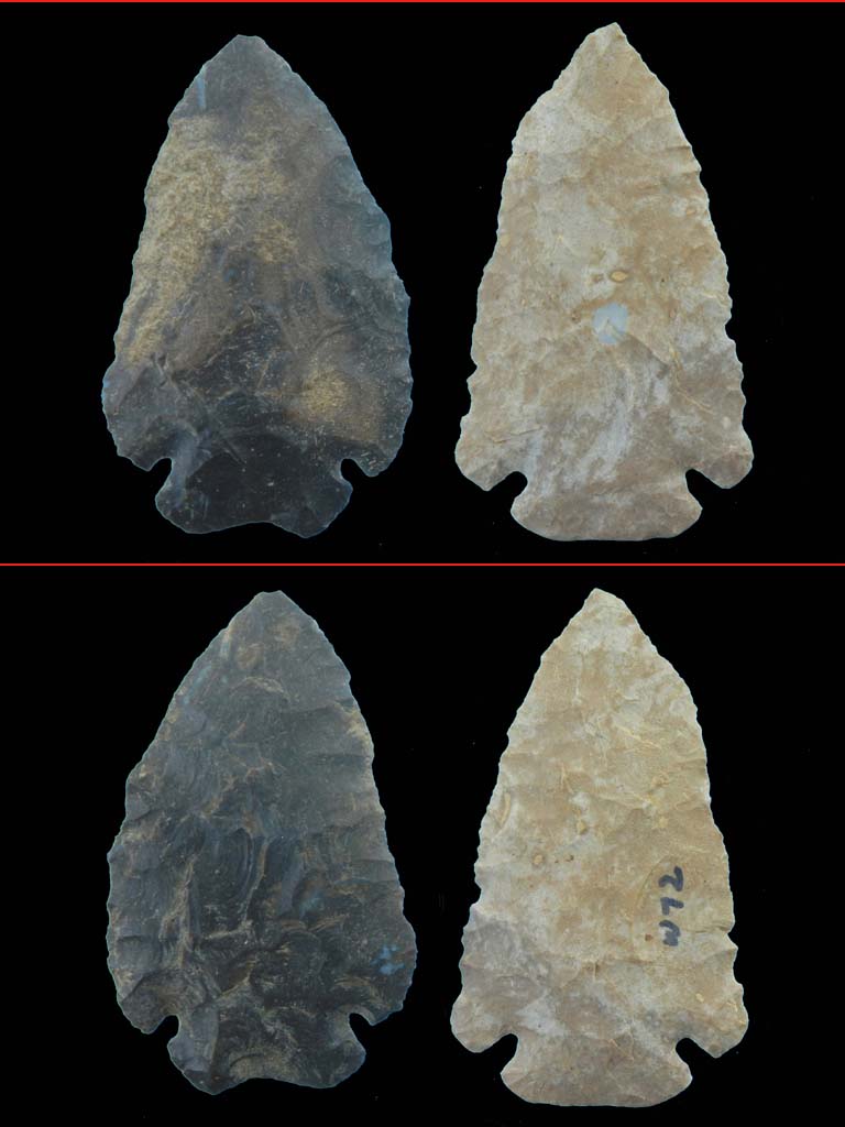 AFPH205Z.jpg
