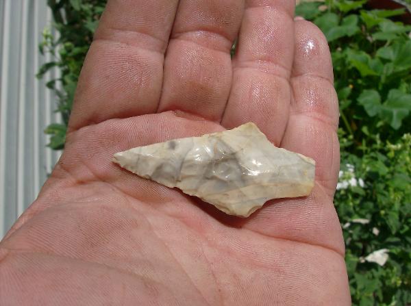 JULY7_004-600x447.jpg
