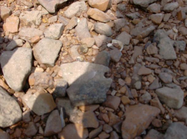 INSITU_7-13-09_010-610x454.jpg