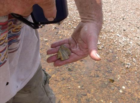 INSITU_7-13-09_013-466x343.jpg