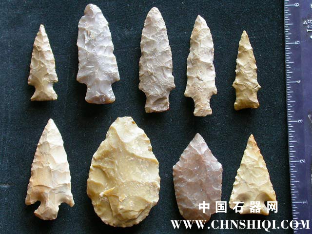 creek-local-varieties.jpg
