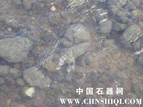 5-underwater-in-situ.jpg