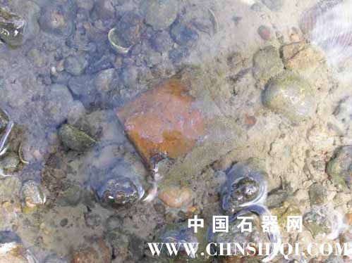 11-in-situ.jpg