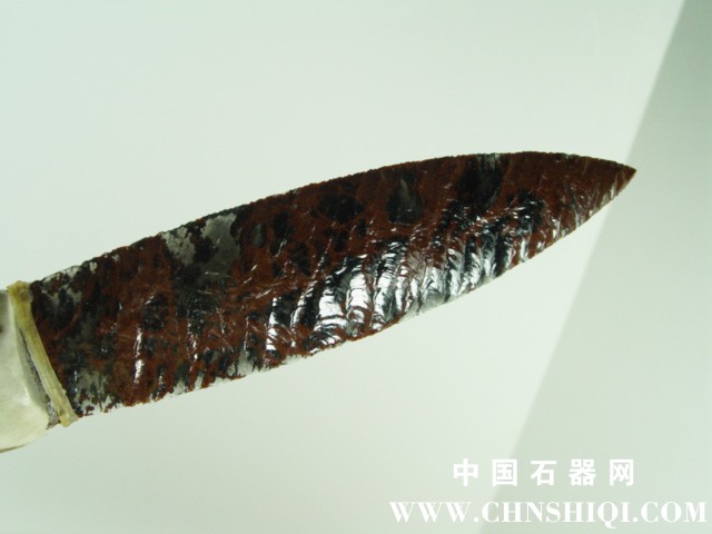 9635148_orig.jpg