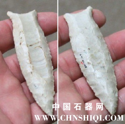 瓦里克县在找到的.jpg