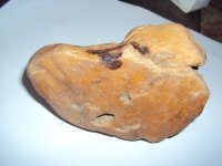 这是肉化石，用火煮熟的食品。