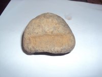 磨石器的工具