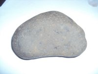 刮痧样品吗？