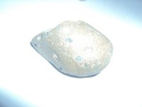 psb(15).jpg