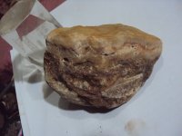 psb(49).jpg