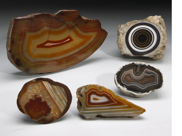 image (15).jpg