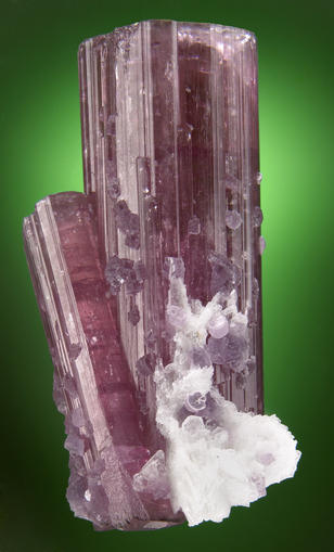 image (11).jpg