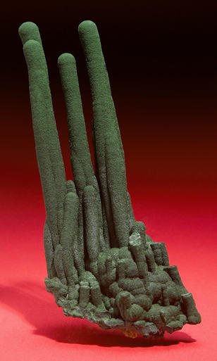 image (8).jpg