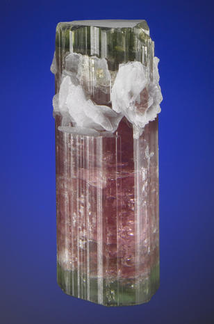 image (14).jpg