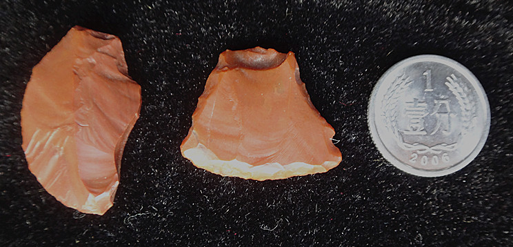 DSC00961_副本.jpg