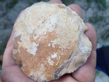 1515e070.jpg