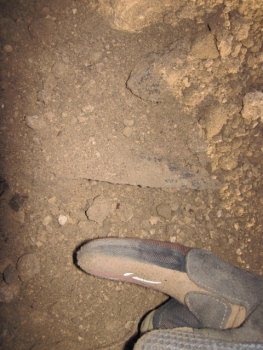 301075e0.jpg