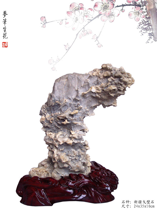 psb (19).jpg