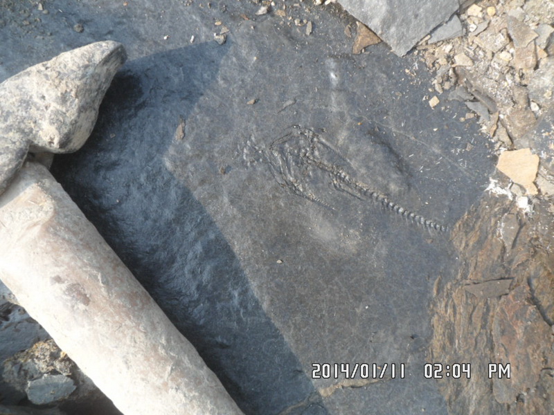 SAM_5372_调整大小.JPG