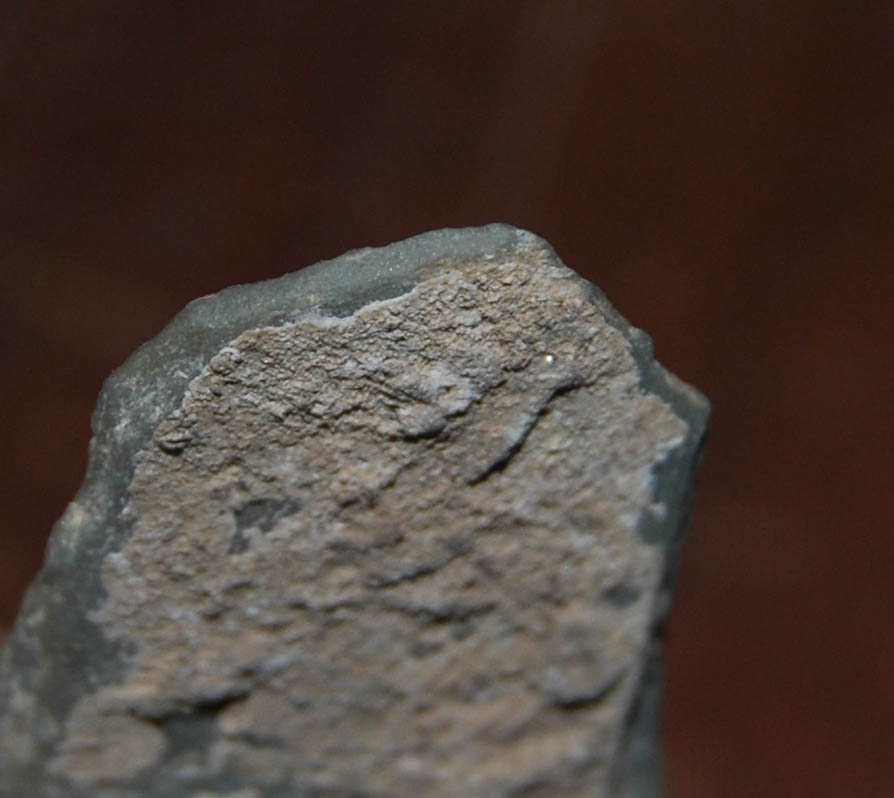 DSC_0244.JPG